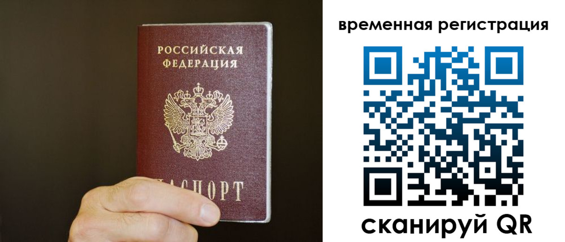 прописка гарантия в Черногорске